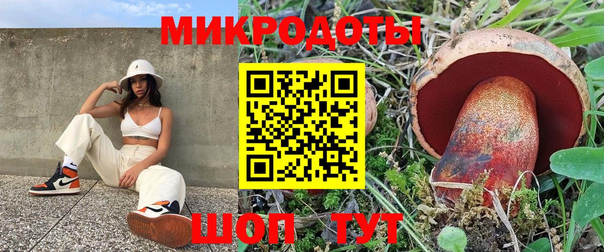 Псилоцибиновые грибы MAGIC MUSHROOMS  Псилоцибиновые грибы GOLDEN TEACHER  Касимов  Вход с VPN 